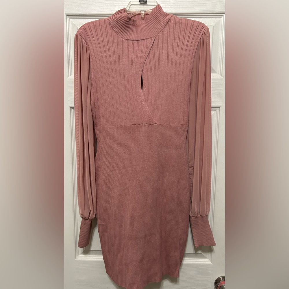 FashionNova Mauve Fitted Dress
